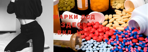дмт Богородицк