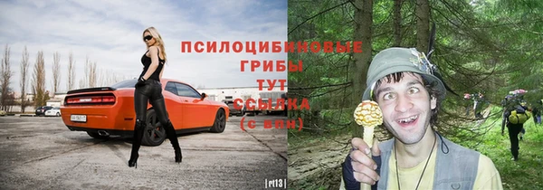 дмт Богородицк