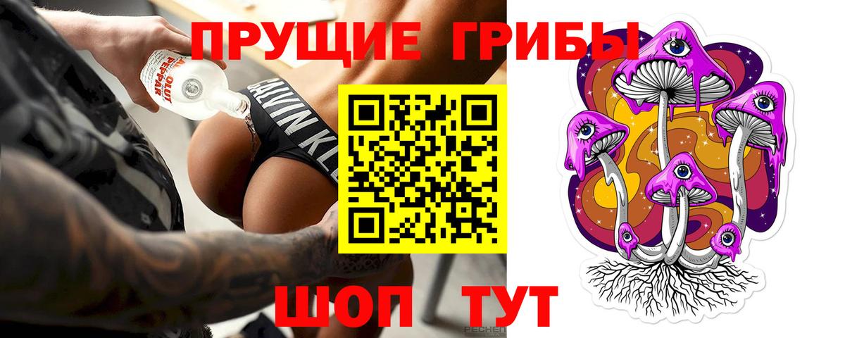 Галлюциногенные грибы Cubensis Северск