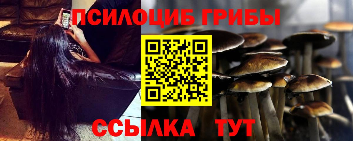 Северск  Галлюциногенные грибы ЛСД  купить наркотик  Вход с VPN 